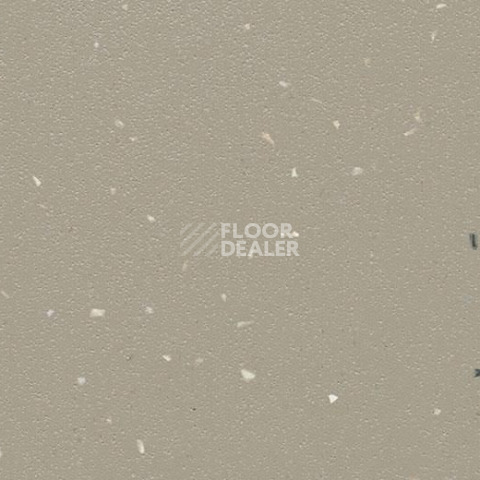 Линолеум Forbo SureStep Star 176772 cement фото 1 | FLOORDEALER